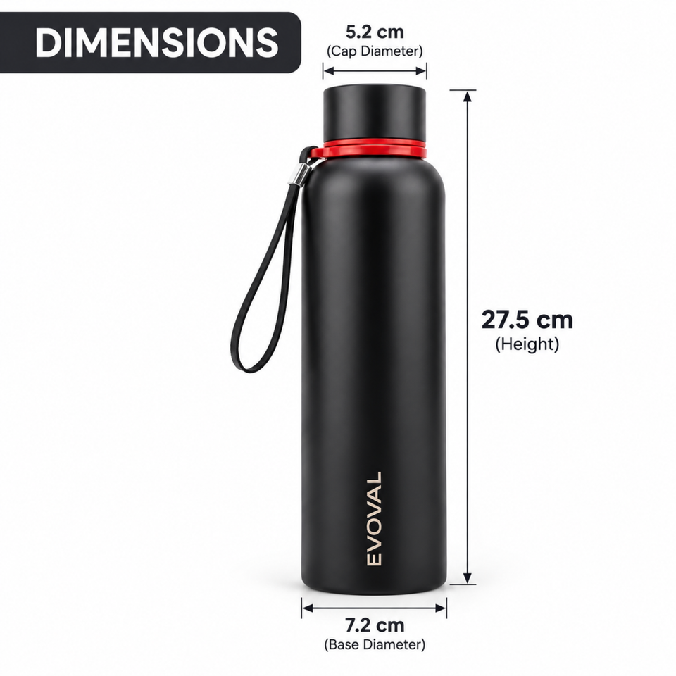 FORGE 750ml | Stainless Steel Water Bottle, Double Wall Vacuum Insulated Bottle, 304 Stainless Steel, Leak Proof, Anti-Skid Base with Carry Strap